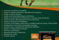 Suplemento Mineral +Horse para Cavalos – 10kg