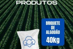 Briquete de Resíduo de Caroço de Algodão para Gado - Ensacado (Saco 40 kg)