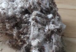 Casca de Algodão In Natura para Nutrição Animal e Biomassa