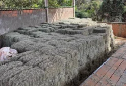 Feno Tifton 85 Classificação A – Fardos de 13 a 15 kg para Nutrição Animal