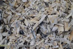 Osso Calcinado para Nutrição Animal – Venda no Ceará