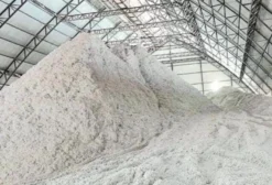 Caroço de Algodão para Nutrição Animal – Venda a Granel em Luís Eduardo Magalhães/BA