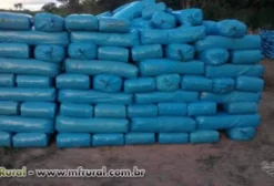 Silagem de Milho Premium com Inoculante – Sacos de 30kg