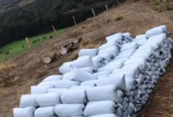 Silagem de Milho Curtida Ensacada e a Granel – Alto Valor Energético para Nutrição Animal