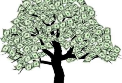 Crédito de Reposição Florestal para Regularização Ambiental em Mato Grosso