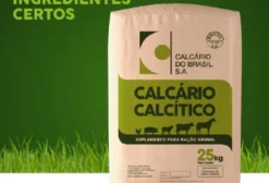 Calcário Calcítico para Nutrição Animal – Granel, Big Bag e Sacaria 25 kg