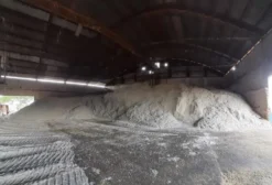Caroço de Algodão para Nutrição Animal - Venda por Tonelada em MT