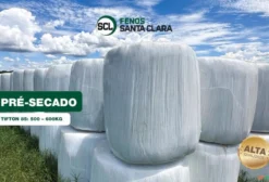 Feno Pré-Secado Tifton 85 - Fardos de 500 a 600 kg - Terenos (MS)