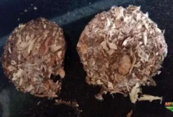 Briquete de Caroço de Algodão Briquemax para Gado de Corte e Leite