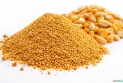 Gérmen de Milho Premium para Nutrição Animal - Cuiabá/MT