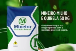 Quirera de Milho 50kg para Ração Animal – Alto Rendimento e Economia