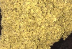 Torta de Algodão 28% PB a Granel - Nutrição Animal