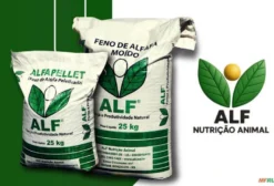 Alfafa Peletizada Premium para Gado Leiteiro – 25 kg