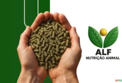 Alfafa Peletizada Premium para Ovinos – Alto Ganho de Peso e Saúde Ruminal
