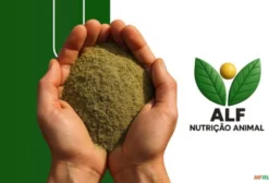 Farinha de Alfafa Prensada para Bezerros de Corte - Nutrição Eficiente da ALF Nutrição Animal