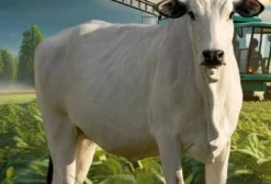Sal de Mossoró para Uso Animal, Industrial e Humano – Sacos de 25 e 50 kg