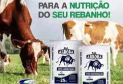Sal Branco Arroba para Nutrição Animal - Mossoró/RN