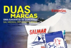 Sal Tipo Exportação para Gado - Moído, Refinado e Grosso - Mossoró/RN