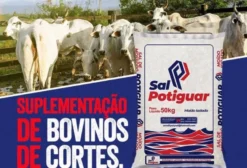 Sal Mineral Potiguar para Gado - Saco 25kg