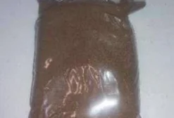 Biomassa de Artemia Congelada – Artemia salina do Rio Grande do Norte (1 kg)
