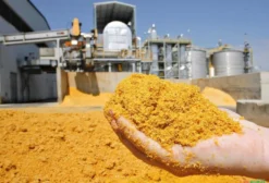 DDG de Milho a Granel – Proteína 25-30% para Nutrição Animal