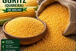 Gritz de Milho (Quirera) para Nutrição Animal - Pedido Mínimo 32 Toneladas - Cuiabá/MT