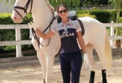Cavalos Puro Sangue Lusitanos com Registro – Inteiros, Castrados, Potros e Matrizes à Venda em Sarapuí/SP