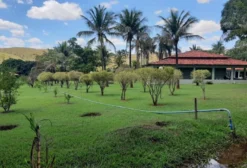 Haras de Alto Padrão em Brasília – 7 Alqueires com Infraestrutura Completa