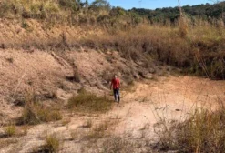 Área para Tanque de Peixe e Policultivo em Gama/DF – Arrendo ou Faço Parceria