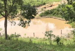 Chácara para Pecuária em Abadiânia – GO – 5 Alqueires com Água e Curral