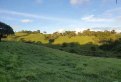 Fazenda de 200 ha em Caruaru, PE – Ideal para Pecuária e Plantação de Ração