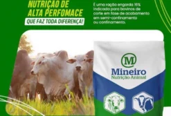 Ração Mineiro Engorda 16% Soja 40kg para Bovinos de Corte - Alto Rendimento em Confinamento