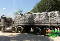 Cal Hidratada Chi para Nutrição Animal e Suplementação Agrícola