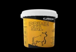 Suplemento Mineral Prime Converte Turbo Águas para Bovinos de Corte