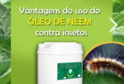 Óleo de Neem Puro 2000ppm – Inseticida Orgânico para Agricultura e Pecuária