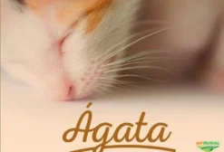 Oportunidade de Distribuição de Rações para Animais de Estimação - Cadastro de Distribuidores