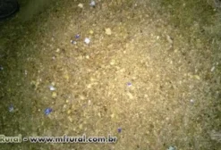 Ração de Biscoito para Animais – Farelo Orgânico – Carpina/PE