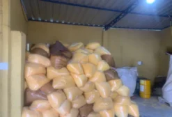 Farelo de Salgado – Coproduto para Nutrição Animal