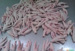 Chicken Paws (Pés de Frango) para Exportação – Procura-se Fornecedor