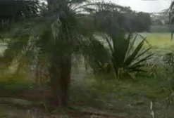 Arrendamento de 9 Alqueires em Aparecida de Goiânia – Serra das Areias