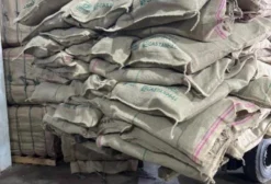 Sacas de Juta Novas 60kg - 44.000 Unidades à Venda em Pelotas/RS