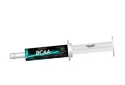 BCAA para Equinos 60g – Organnact – Suplemento Aminoácido em Seringa Oral para Recuperação Muscular