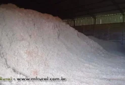 Casquinha de Algodão para Nutrição Animal - Correção de Fibra em Rações