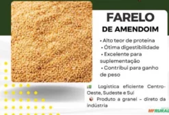 Farelo de Amendoim 45% a 50% Proteína para Nutrição Animal - Bovinos e Ração