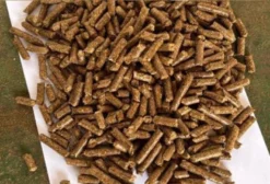 Casca de Amendoim Peletizada para Nutrição Animal - R$650/Ton