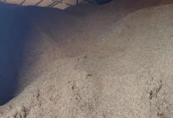 Casca de Amendoim para Forração Animal e Avícola - Venda a Granel