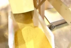 Milho Pré Gelatinizado Gelatiza – Nutrição Animal e Ingrediente Industrial