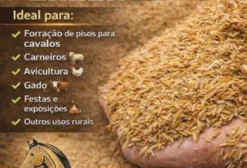Palha de Arroz para Cama de Animais e Nutrição - Araras/SP