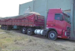 Casca de Arroz Moída para Ração Animal e Cama de Frango em Santo Antônio da Patrulha - RS