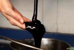 Melaço Líquido de Cana-de-Açúcar para Nutrição Animal - Suplemento Energético